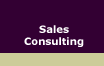 Sales Consulting